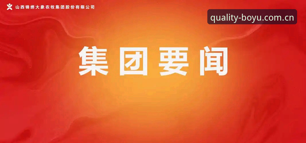 揭秘博鱼体育APP：从菜鸟到达人的完整操作指南